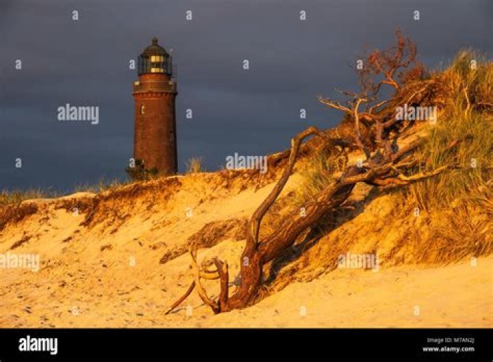 Food Network's 'The Big Bake' Offers Bakers a Semi-Sweet Grand Prize