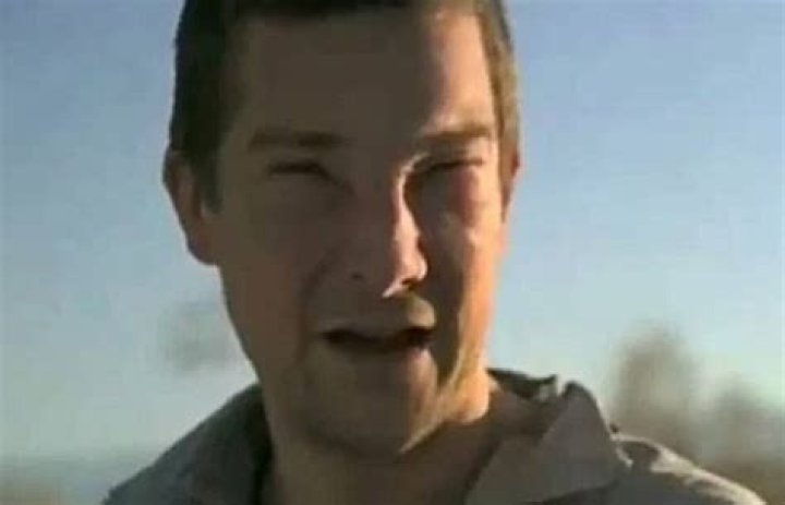 Bee sting leaves Bear Grylls in life-threatening anaphylactic shock |