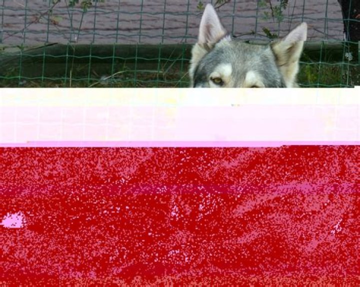 Nikki Hall Could Be Pauly D's Daughter's Stepmom if She Plays Her Cards Right