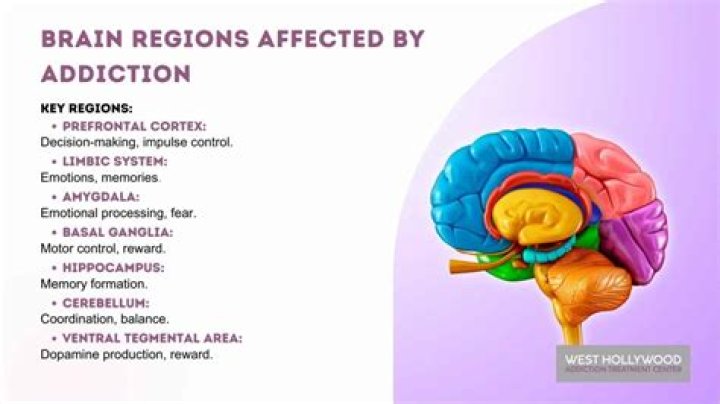 NovaVibe | The world's 5 most addictive substances