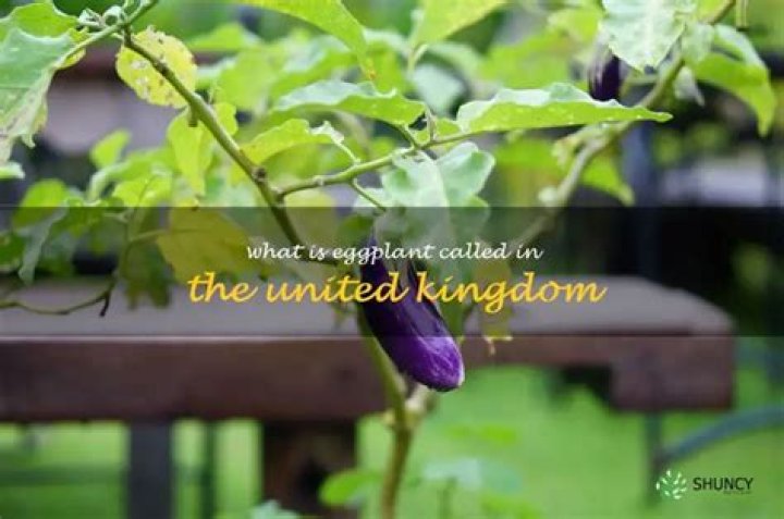 What is eggplant called in the United Kingdom? |